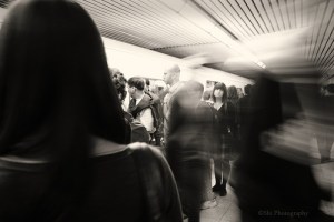 3954821896_4effdea132