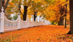 an-autumn-stroll-west-bennington-vermont-thomas-schoeller