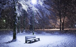 Garden-View-Beautiful-HD-Wallpapers-of-Snowfall