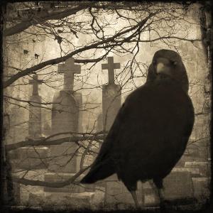 her-graveyard-gothicolors-with-crows