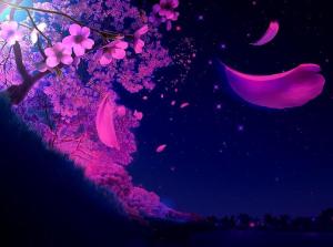 purple-is-cool-lovely-soothing-evening