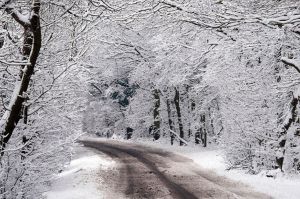 Snow+around+Billericay