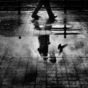 walkingblackwhitewetpavementshoes