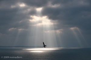 2009022815581359_20090228-60