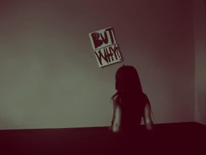 But_Why___by_Queenenigma09