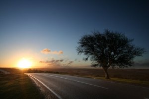 ebd556d700b9e5c075c476bb15b5ecdb