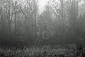 fog-house-2